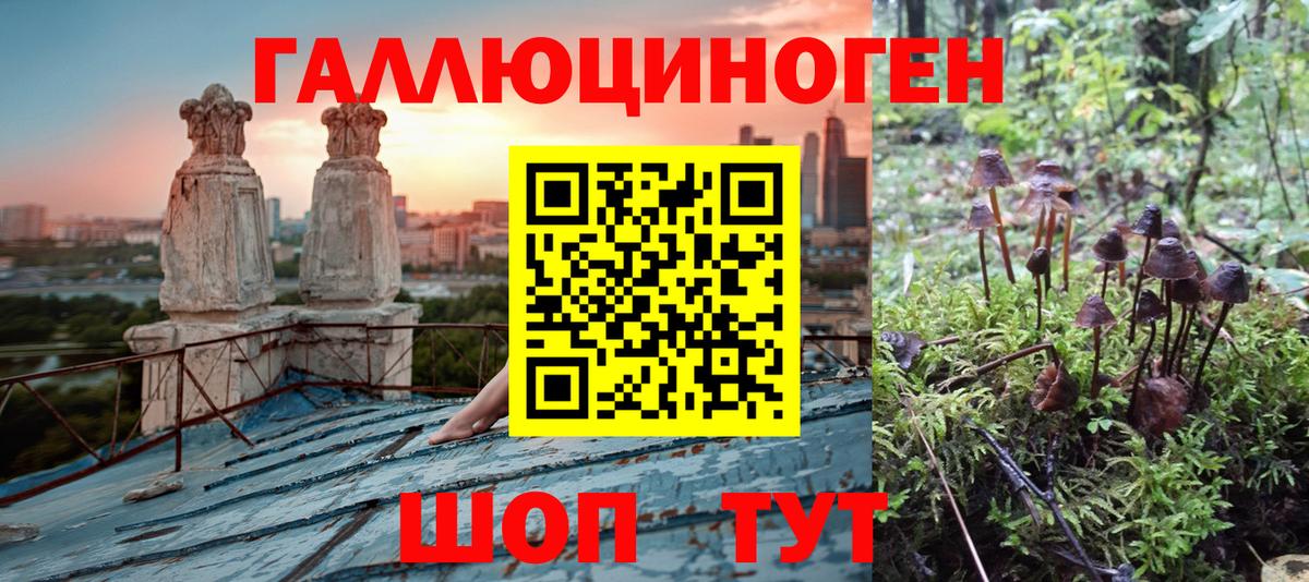 Псилоцибиновые грибы ЛСД  Вход с VPN  Галлюциногенные грибы Psilocybe  даркнет сайт  Майкоп 