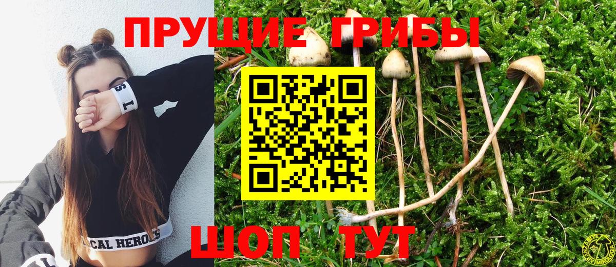 Галлюциногенные грибы MAGIC MUSHROOMS Майкоп